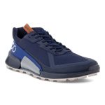 82283460426 ecco  Biom 2.1 GTX