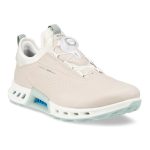 کفش زنانه گورتکس(ضدآب) دیسکی اکو مدل ecco Biom C4 GTX 13091301163