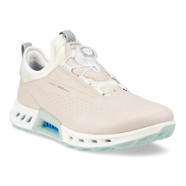 کفش زنانه گورتکس(ضدآب) دیسکی اکو مدل ecco Biom C4 GTX 13091301163