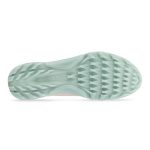 کفش زنانه گورتکس(ضدآب) دیسکی اکو مدل ecco Biom C4 GTX 13091301163 - Image 7