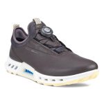 کفش زنانه گورتکس(ضدآب) دیسکی اکو مدل ecco Biom C4 GTX 13091301576