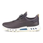 کفش زنانه گورتکس(ضدآب) دیسکی اکو مدل ecco Biom C4 GTX 13091301576 - Image 3