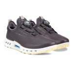 کفش زنانه گورتکس(ضدآب) دیسکی اکو مدل ecco Biom C4 GTX 13091301576 - Image 2
